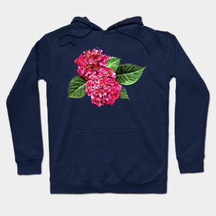 Dark Pink Hydrangea Hoodie